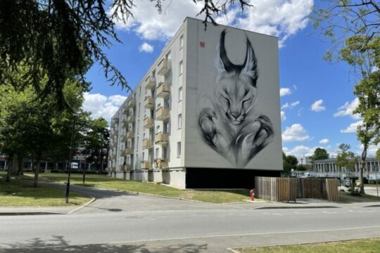 Un premier festival des arts urbains réussi à Laon !