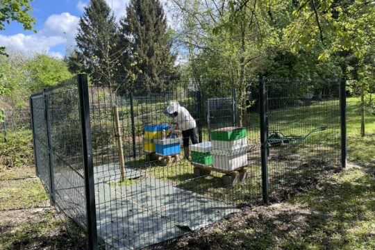 Les abeilles, nouvelles locataires de l’OPAL