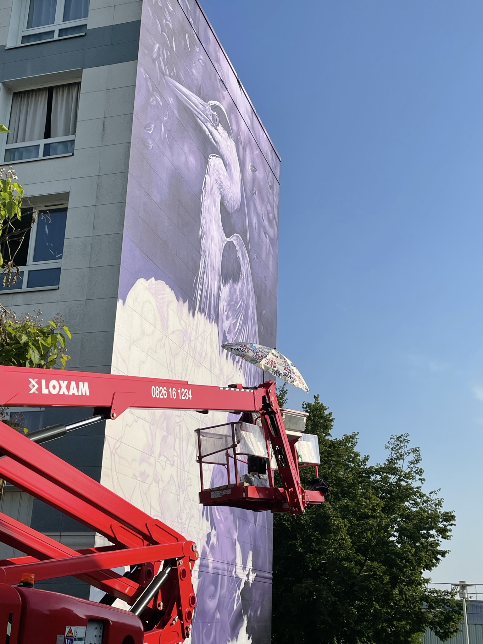 Festival des arts urbains, street art sur les murs des immeubles de l'OPAL